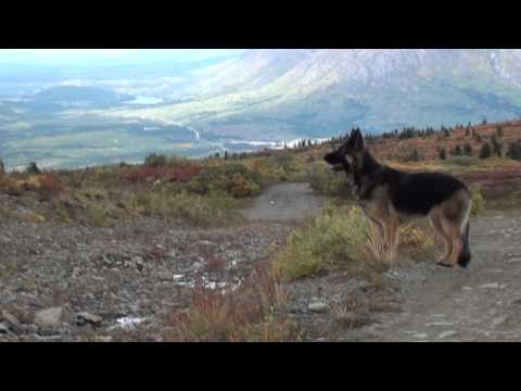 yukon