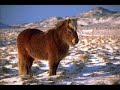 Iceland is your country (Pálmi Gunnars) Ísland er land þitt
