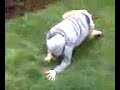 Click here to watch this video Jumping ON Trees. 2
