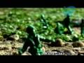 INTELIMEDIA SHOWREEL V 09 HQ