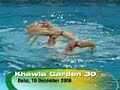 Diving Gold Medalist