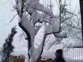 videos de 80 cm di neve a Desulo 1000 m. slm in Sardegna