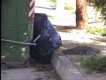 Las ratas de Palos Blancos son la leche de grande
