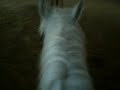 Mandy &&Ich beim reiten Mandy &&Ich beim reiten