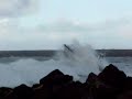 Best compilation of funny shit