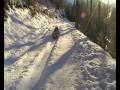 videos de vosges party