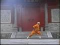 Ba Duan Jing (8 Section Brocade)