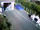 vol eco 7 sport vol eco 7 sport