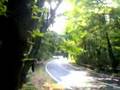 Rally Luino-Montegrino