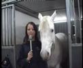 PROFIL H�ST YRKESF�RBEREDANDE CENTRUM