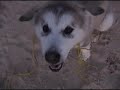 More of Keyush at the Beach