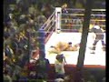 max-fight-3mma-belgine-vs-curio.html