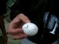 Mendocino Egg Drop