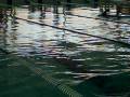 videos de Corn 50m Breaststroke