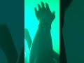 Tyga Fight Omaha (Original)