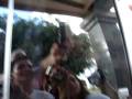 videos de Pollito na Van