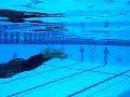 Swimming start