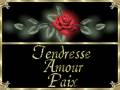 pour vous mes amies je vous offre cette rose poure vous remerçier de votres commentairs gros bisous