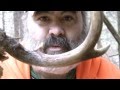 Thought off a wolf pack for that deer! - YouTube