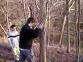 videos de JAMES BIG TREE