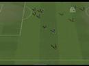 Zlat� g�l video 24