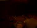 videos de DumbAssUnited: Drink From Hell