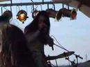 The Uprising - Eve Of Battle (Live In Widen)