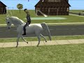 Ride able Unicorn