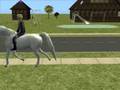 Ride able Unicorn
