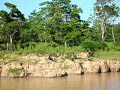 R�o Amazonas