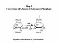 Get to Grips with Biochemistry (Glycolysis)