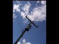 life, hope and indifference