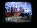 cory's bull 251 at tunica NBBA 2008 3 year old cory's bull 251 at tunica NBBA 2008 3 year old