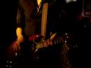 guillemots (live)
