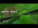 Daily Toke on Turning the Page