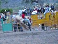 Jaripeo Rnchero D.F