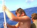 Tommy's Dolphin Fish