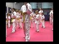Sutton Schools of Tae Kwon Do Summer Carnival demonstration