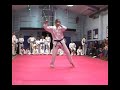 Sutton Schools of Tae Kwon Do Summer Carnival demonstration