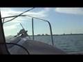 Intracoastal-Volume-