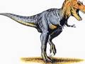 Tyrannosaurus Rex Tribute