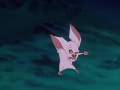 Bartok