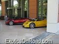 Ferraris and Zondas
