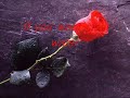 Rammstein - rosenrot