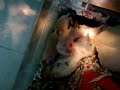 Baby hamster squeaking Baby hamster squeaking