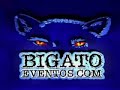 dvd abert 11ª festa á fantasia de monte alto niver do bigato