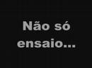 CEAR 2008