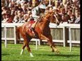 Horse Racing...It\ Horse Racing...It\