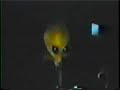 Alien Vivo Alien Vivo