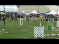 BRAD, AMOCO, RILEY AT THE 2009 CYNOSPORT WORLD GAMES SCOTTSDALE, AZ